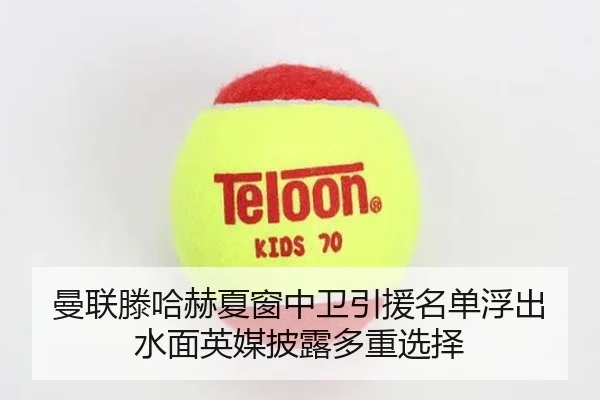 曼联滕哈赫夏窗中卫引援名单浮出水面英媒披露多重选择